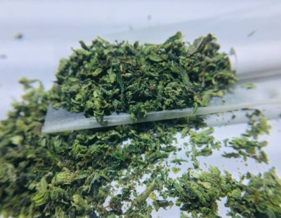 Appeals Court Weighs in on Whether a Legal Amount of Visible Loose Cannabis Justifies a Vehicle Search 