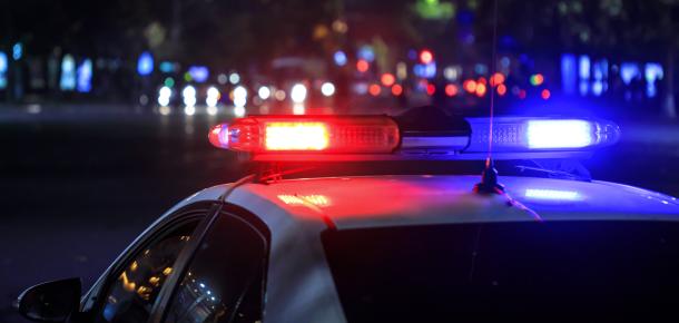 Court Ruling Upholds Traffic Stop Prolongation, Seizure of Vehicle, and Enforcement of Federal Law