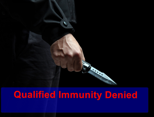 First of Two Force Decisions: Immunity Denied in Fatal Shooting of Man Holding Knife But Not Advancing on Officers