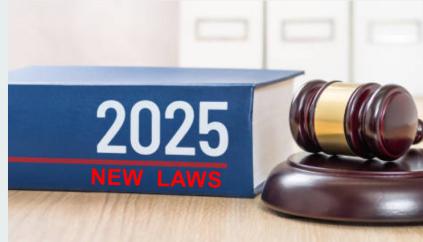 New Laws for 2025 – What You Need to Know: Exclusive Professional Subscribers’ Edition
