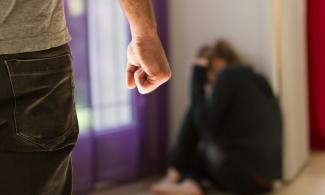 The Danger Doctrine and Civil Liability; Leaving a DV Victim in more danger; Qualified Immunity...          
