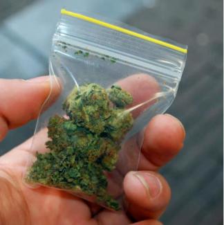 Searches of Vehicles for Marijuana                                                                                                                                          