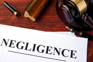 Deadly Force, the Fourth Amendment, and State Negligence Allegations                                                                      