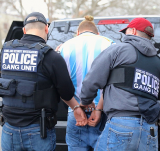 Detentions for Investigation                                                                                                                                                      