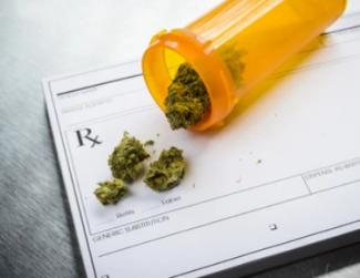 Medicinal Marijuana and the Due Process Clause                                                                                                                  