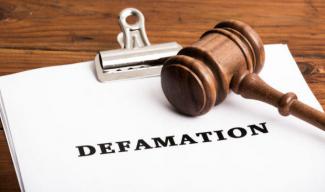 Defamation Civil Suits Brought by Law Enforcement Officers                                                                                          