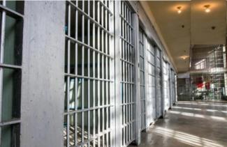 Cruel and Unusual Punishment Imposed by Federal Correctional Officers                                                                    