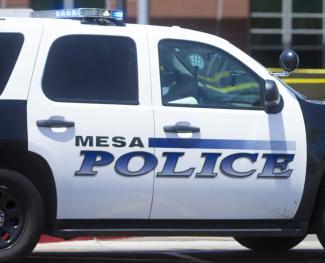 The Fourteenth Amendment Due Process and the Use of Deadly Force                                                                              