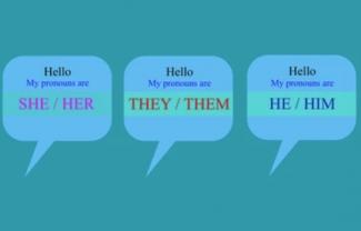 Using the Wrong Pronoun at Trial and Prosecutorial Misconduct (Special Attention Prosecutors)                    