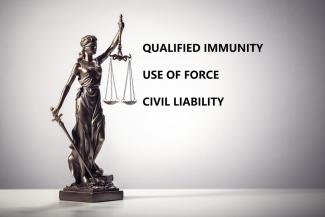 Deadly Force, Qualified Immunity and Civil Liability: We’re Not in California Anymore with This Case  