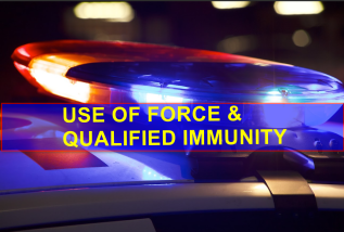 Deadly Force, Liability and Negligence Highlight Circuit Court Decision in Nevada Case                                          