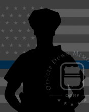 Special Agent Daniel Alfin